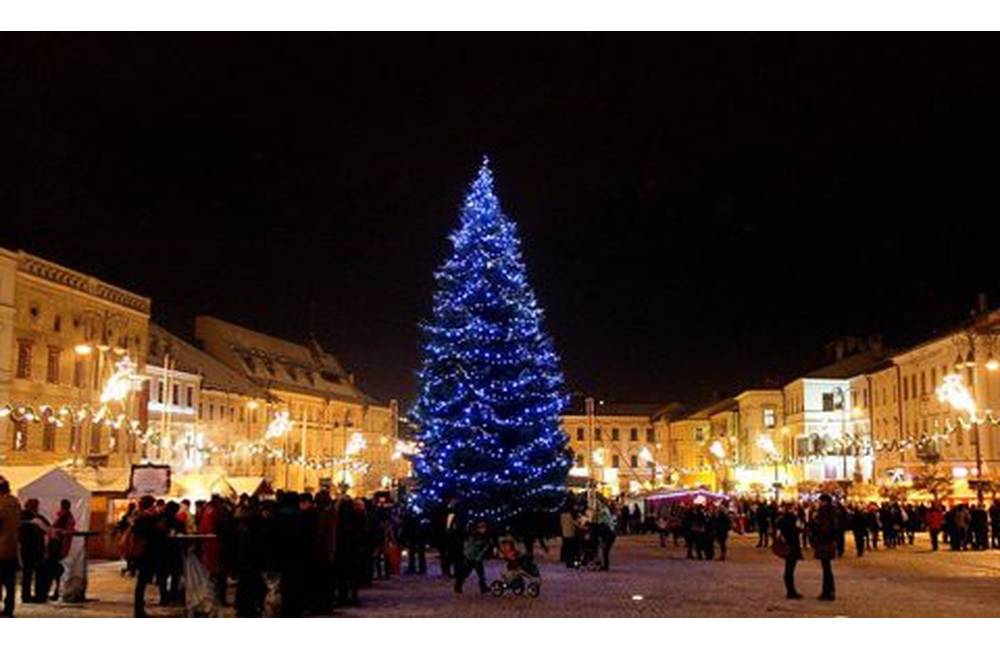 Foto: Vianočný stromček na banskobystrické námestie sa už pripravuje, osadený bude 24. novembra