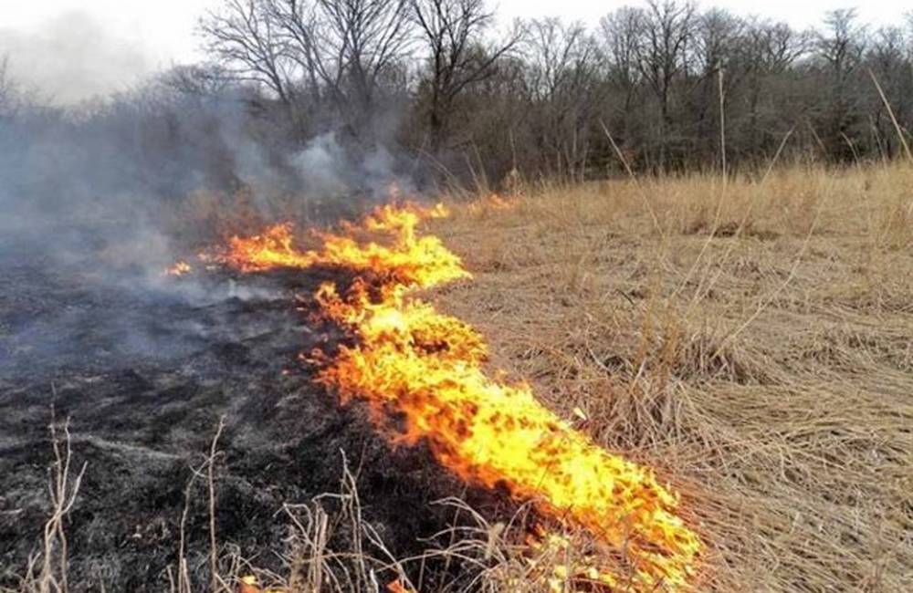 Ochranári varujú pred zakladaním ohňa v prírode, v prípade požiaru hrozí mastná pokuta