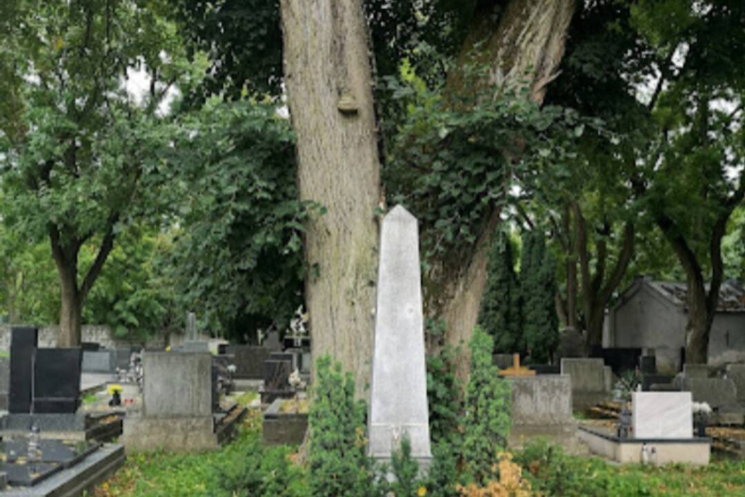 V Banskej Bystrici spílili 140-ročnú lipu. Stála na cintoríne pri hrobe básnika Jána Bottu