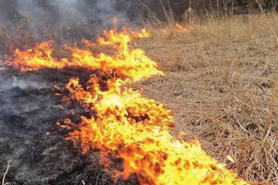 Mesto Lučenec upozorňuje, že za vypaľovanie porastov bylín, kríkov a stromov hrozí ľuďom vysoká pokuta
