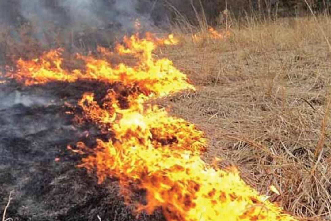 Foto: Mesto Lučenec upozorňuje, že za vypaľovanie porastov bylín, kríkov a stromov hrozí ľuďom vysoká pokuta