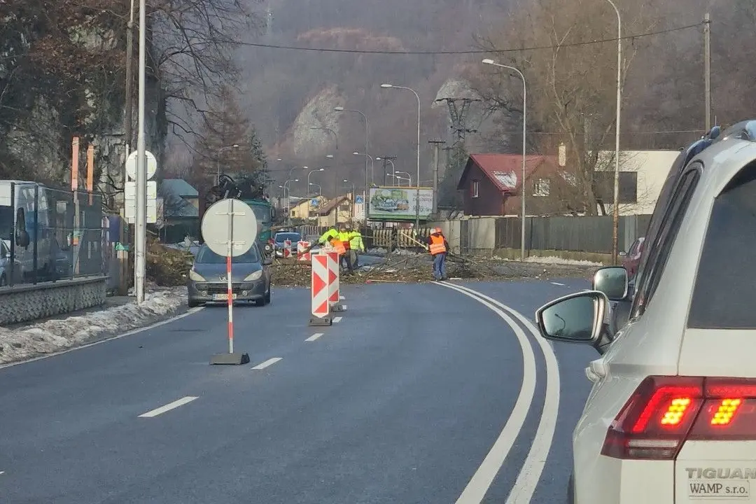 Foto: Vodiči v Banskej Bystrici hlásia padnutý strom na ceste, situáciu riešia pilčíci