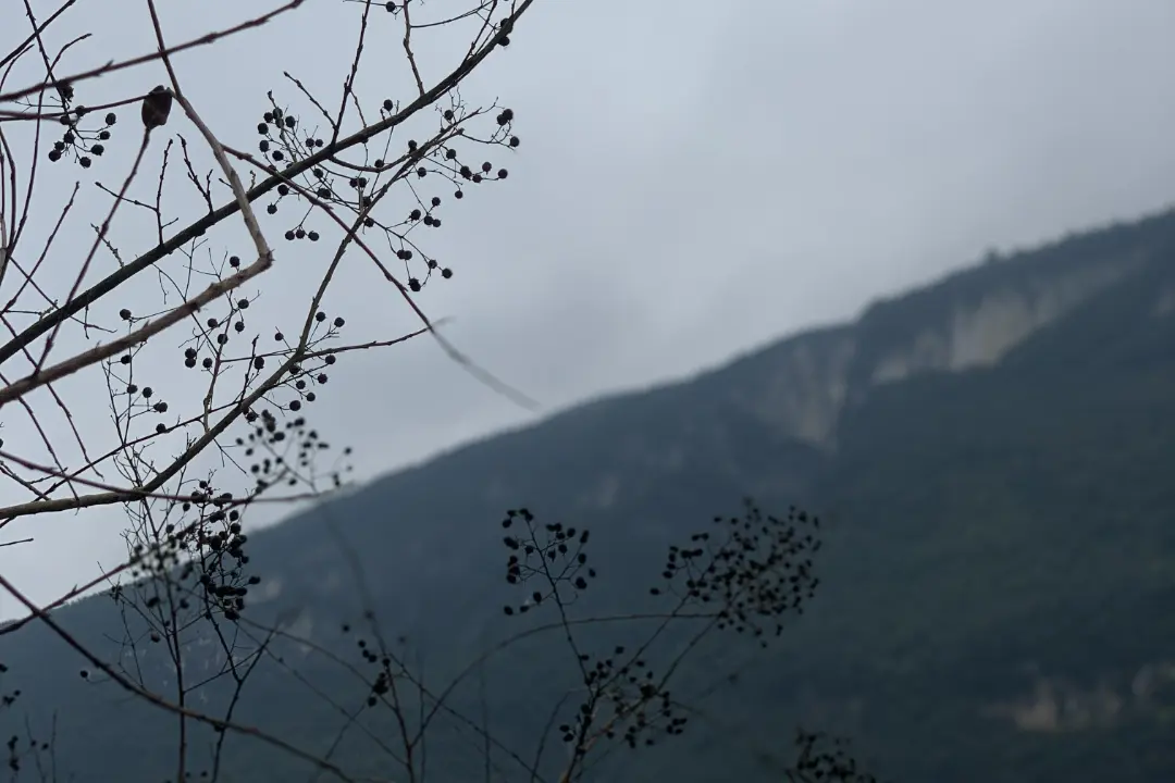 Foto: Očakávajte hmlisté počasie a víchricu. Meteorológovia vyhlásili v Banskobystrickom kraji výstrahy