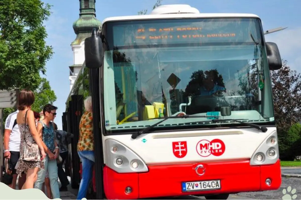 Foto: Na Deň Zeme vo Zvolene sa môžete voziť autobusmi zadarmo, v meste na námestí na vás zas čaká bohatý program