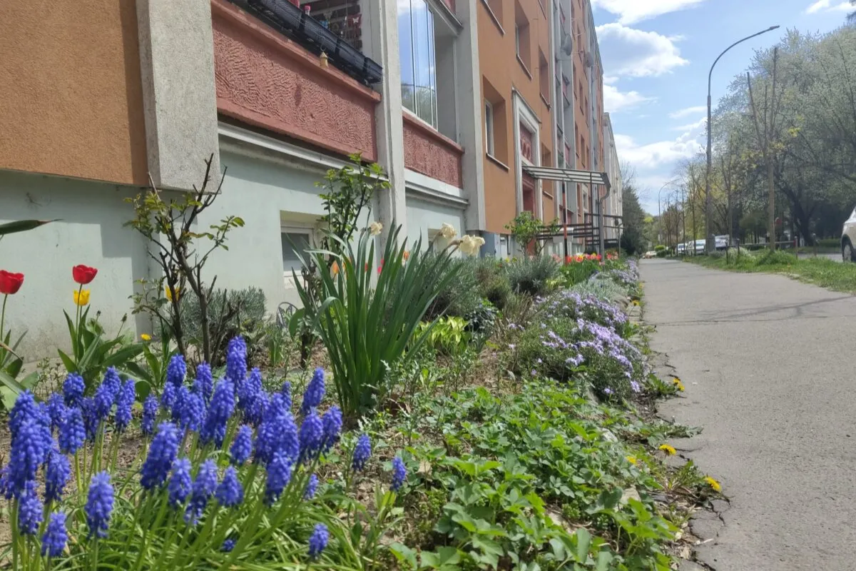 VIDEO: Bystrica hľadá najkrajšiu predzáhradku, štartuje prvý ročník súťaže. Ako sa môžete zapojiť?