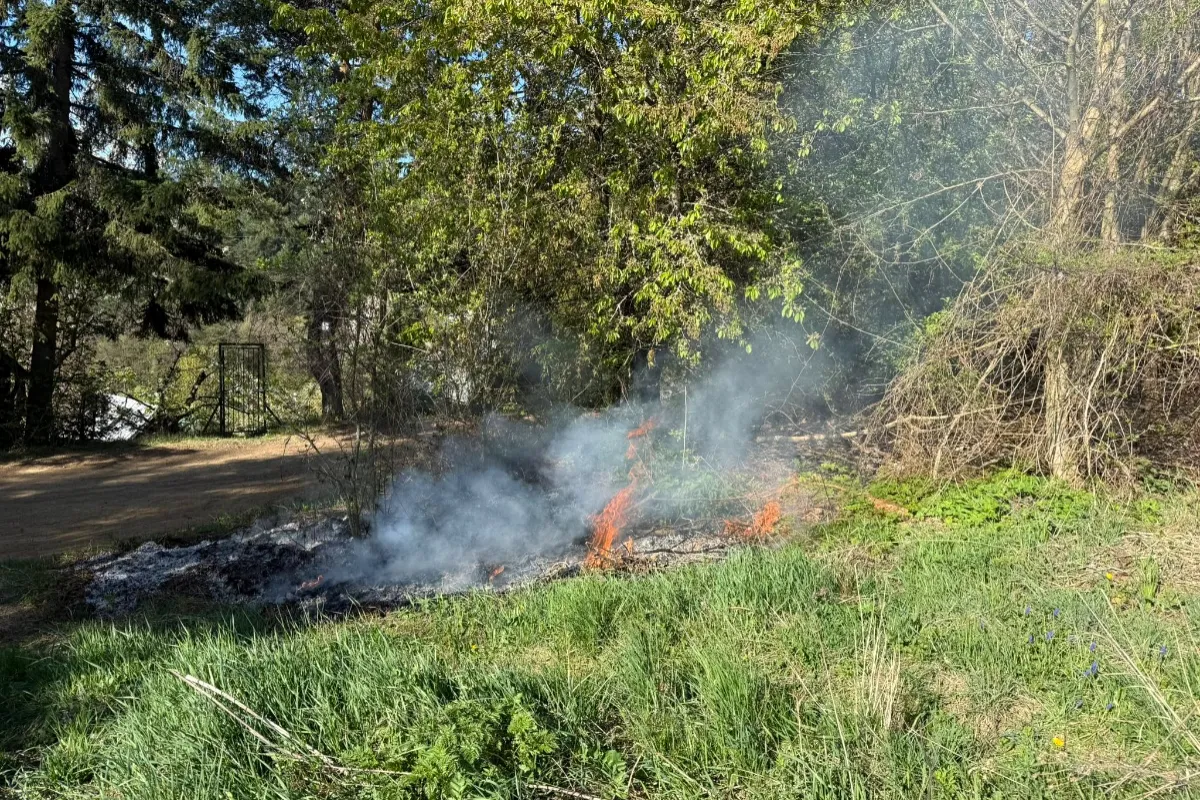 FOTO: Oheň nad Fončordou zalarmoval hasičov. Jana sa ho snažila uhasiť, no neúspešne, ľudí žiada o opatrnosť