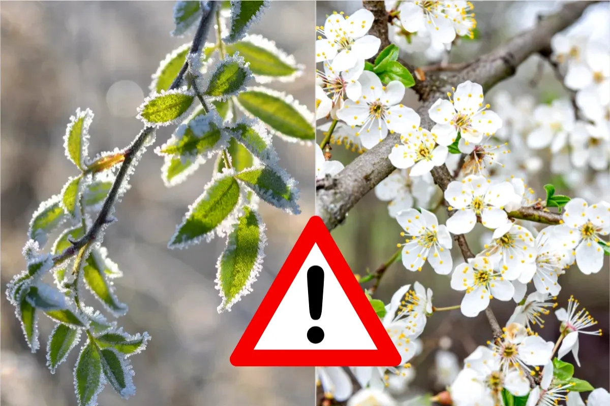 Koniec apríla prinesie výrazné ochladenie, teploty v Banskobystrickom kraji môžu klesnúť až na -7 °C