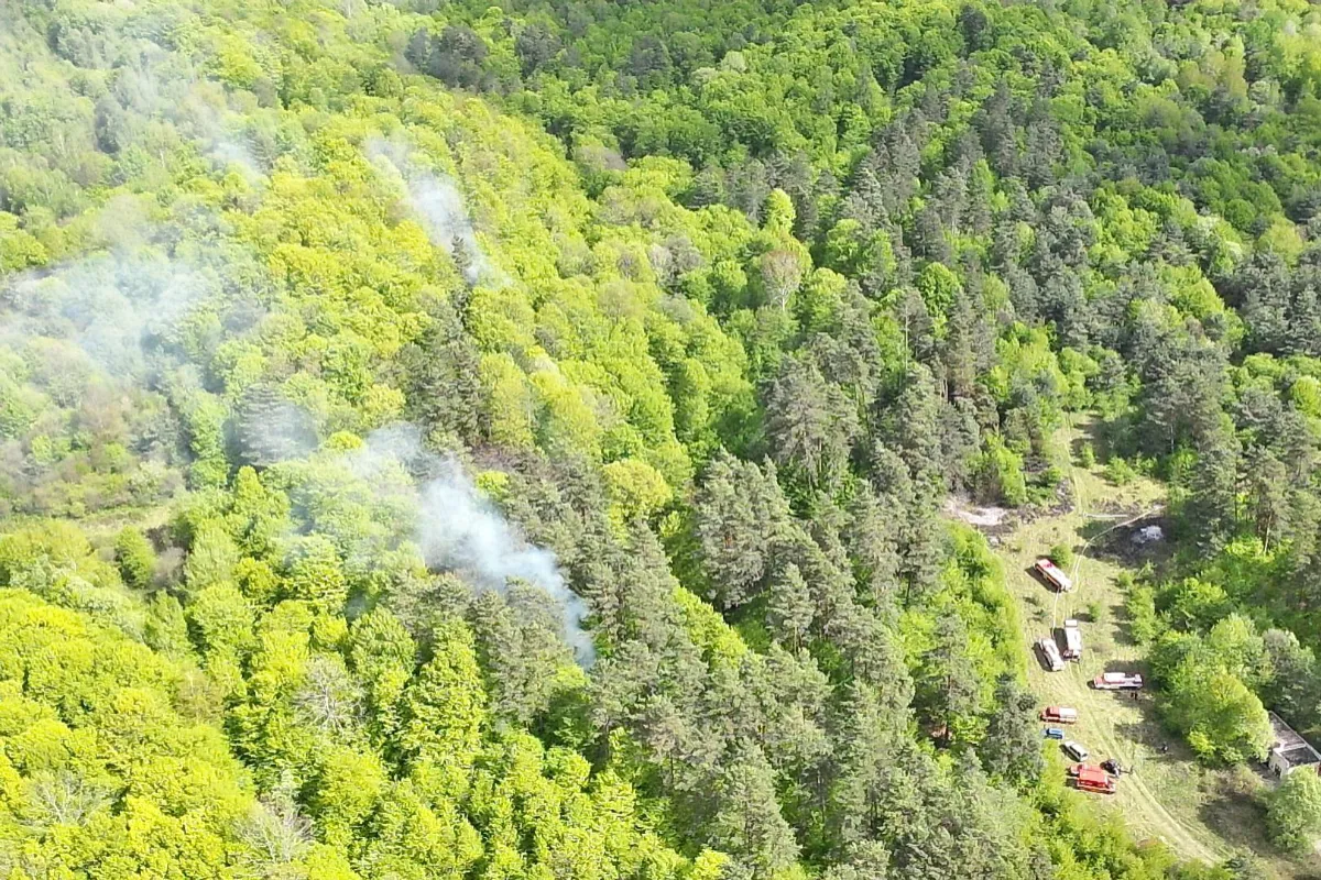 FOTO: Lesné požiare zasiahli stred a sever Slovenska. Hasiči bojujú s plameňmi v Poltári aj na Liptove