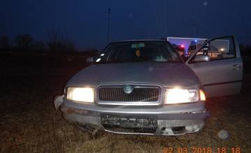 Ženu na prechádzke so psom zrazil opitý vodič, nafúkal 1,8 promile a žena skončila v nemocnici