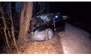 Mladíci chceli ísť za kamarátmi no narazili do stromu, v aute polícia našla fľaše od alkoholu