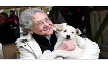 Dôchodkyňu pred obchodom napadla mladá žena, pohádali sa pre psa a potom na staršiu ženu zaútočila