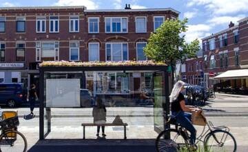 V Žiari nad Hronom pribudnú na zastávky MHD živé zelené strechy