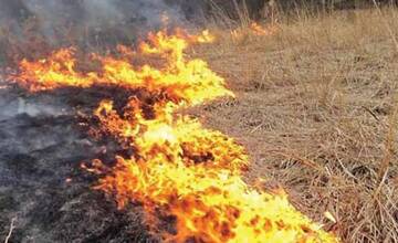 Mesto Lučenec upozorňuje, že za vypaľovanie porastov bylín, kríkov a stromov hrozí ľuďom vysoká pokuta