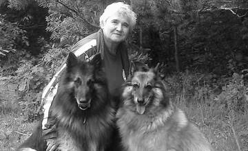 Dnes sa Bystričania rozlúčia s Alenou Murgašovou. Zakladateľka Dog Rescue zachránila mnoho životov