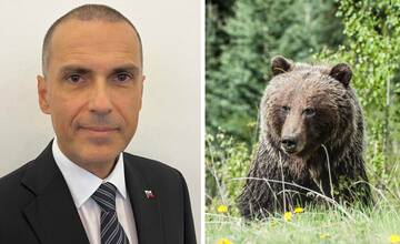 Žilinka podal protest prokurátora. Nesúhlasí s rozhodnutím o odstrele medveďov v revíri Detva