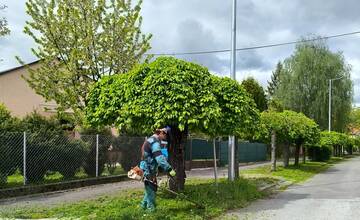 Pri jarnom kosení mestských trávnikov v Banskej Bystrici aj tento rok pomôžu odsúdení