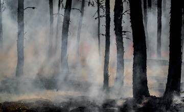 Dobročský prales je v plameňoch. Na mieste zasahujú hasiči