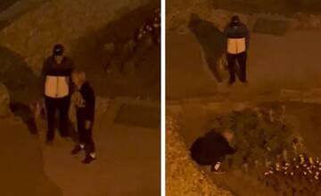 VIDEO: Staršia dvojica kradla kvety na banskobystrickom sídlisku. Pri čine ich zachytila kamera