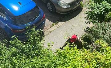 Problém s kosením trávy na banskobystrickom sídlisku. Výhrady majú majitelia áut