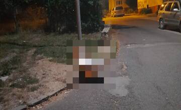 FOTO: Na ulici vo Zvolene sa objavili bizarné objekty, ľudia sa z nich smejú. Kto ich tam umiestnil?