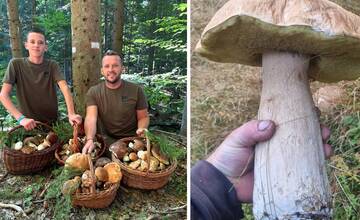 FOTO: Hubársky raj v Banskobystrickom kraji. Lukáš z Revúcej našiel krásavca s váhou 1,3 kilo