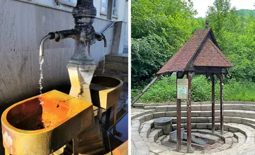 Zvolenské medokýše prešli analýzou, z jedného piť môžete, v druhom je voda fekálne znečistená