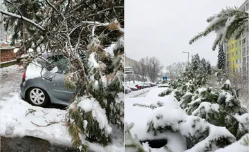 FOTO: V Banskej Bystrici padali stromy na zaparkované autá, majiteľom ostali len oči pre plač
