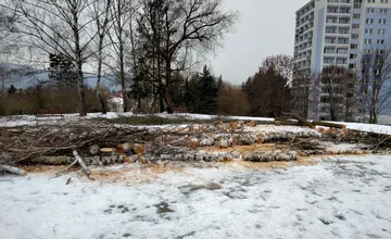 FOTO: Na Zlatom Potoku zrazu zmizlo niekoľko stromov, domácich to znepokojilo, na výrub reaguje primátor