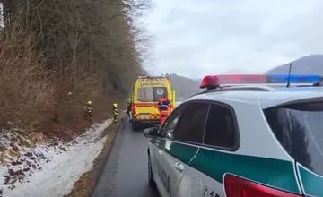 Počas lesných prác pri Bystrici zabil muža padajúci strom, pri Lučenci utrpel smrteľné zranenia ďalší pracovník