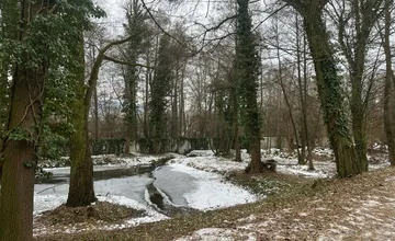V Žiari revitalizujú mestský park, viacero stromov musia spíliť, ohrozujú už aj deti