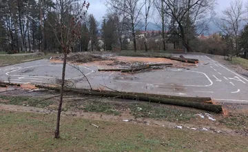 Na ihrisko vo Zvolene navozili spílené stromy, na kritiku miestnych obyvateľov už reagoval aj primátor