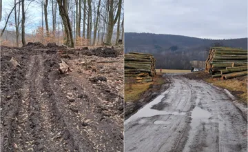 FOTO: Cyklistom vo Zvolene sa nepáči situácia v lesoch, ostatní krútia hlavami a pýtajú sa, či majú lesníci lietať