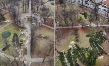 VIDEO: Ako vyzerá výrub stromov v Mestskom parku v Bystrici z výšky? Pozrite si unikátne zábery z dronu