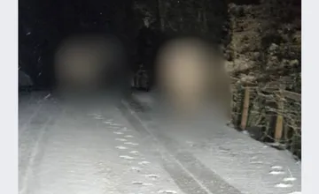 Takéto prekvapenie vodiči naozaj nečakali, pri Štiavnici sa po vozovke prechádzali dva...