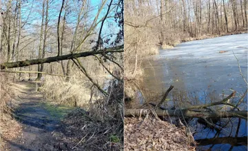 FOTO: Kataríne sa nepáči stav obľúbeného rybníka na Uhlisku, podľa miestnych to bolo najkrajšie miesto ich mladosti