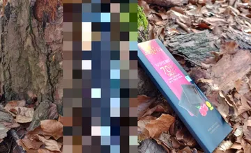 FOTO: Bystričanku zaskočil nález v lese. Videla som kadečo, ale toto nie, opísala a rozvírila zábavnú diskusiu