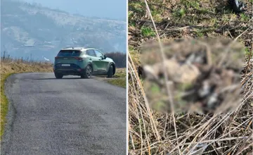 Marián sa vybral do lesa pri Krupine, no objavil tam niečo šokujúce. Vyzýva majiteľa, aby sa pre svoj poklad vrátil