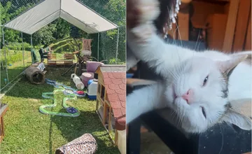 Zvolenské združenie zostalo v šoku z veľkorysého daru, ktorý ich dojal až k slzám. Tajomný darca sa napokon ozval