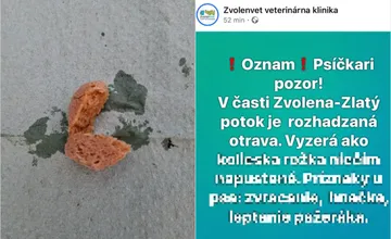 Zdrvený Zvolenčan a majiteľ psíka varuje susedov: V meste je rozhádzaná otrava, môjmu psovi to rozleptalo orgány, zomrel