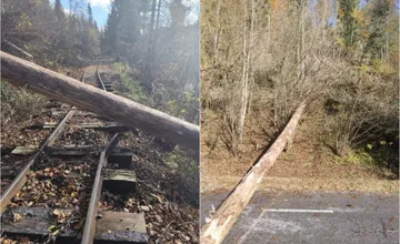 Obyvatelia chcú vedieť, prečo sa rúbu stromy na Horehroní, zatvorená je aj obľúbená cyklotrasa