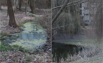 FOTO: Zvolenčania hovoria o smutnom pohľade na Borovú horu, z kedysi známeho sanatória ostala ruina