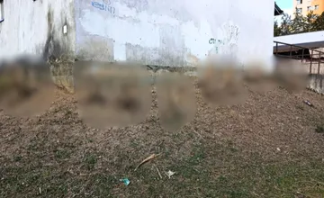 Bystričanov sklamala úprava zelene na sídlisku. Mysleli, že zlatý dážď ich na jar poteší, no ostalo z neho toto...