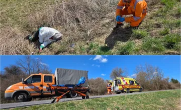 Cestári našli pri ceste v Bystrickom kraji zranenú ženu. Ani sekundu neváhali a poskytli je prvú pomoc