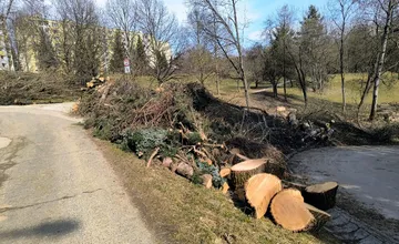 FOTO: Bystričanov hnevajú kopy dreva, ktoré ostali po výrube, podľa miestnych blokujú parkovanie aj prístup k bytovkám