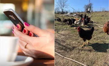 Zvolenom sa šíril netradičný inzerát s nezvyčajnou prosbou, o ponuky ani vtipné komentáre obyvateľov nie je núdza