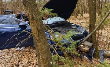 Lučeneckú políciu zaskočila kuriózna nehoda, opitá vodička si chcela skrátiť cestu cez les, ďaleko sa nedostala