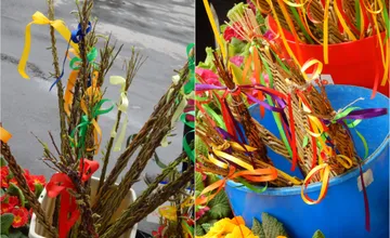 Vo Zvolene sa rozbehlo veľkonočné pátranie po prútoch na pletenie korbáčov. Miestni hneď poradili, kde ich nájsť