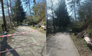 Cyklotrasa na Podpoľaní sa stala rizikovou, mesto varuje pred padajúcimi stromami, tomuto úseku sa vyhnite