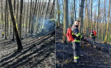 FOTO: Hasiči zasahovali pri rozsiahlom požiari lesa v okolí Krupiny, na mieste bojovalo viacero jednotiek
