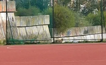 VIDEO: Líška útočila na psov, teraz ju vídajú pri škole. Rodičia zo Sásovej sa obávajú, dôvodom agresie môžu byť mláďatá